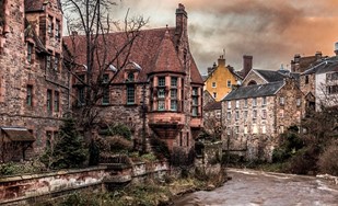 Sometimes beauty can be found in the most unexpected places 