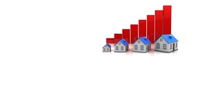 Warners Market Report: October 2016