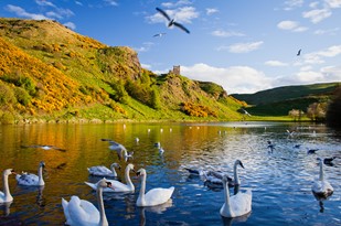 Edinburgh's leading solicitors and estate agents list the top ten spots to run in Edinburgh