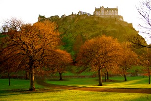 Top Tips For Selling During Autumn