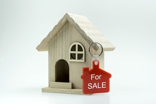 Warners House Market Report: November 2022